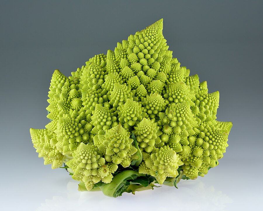 900px Romanesco broccoli (Brassica oleracea)